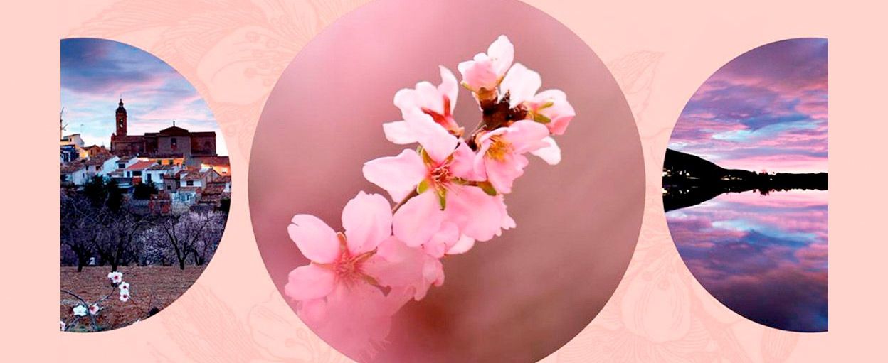 cartell iv marato alcalali en flor