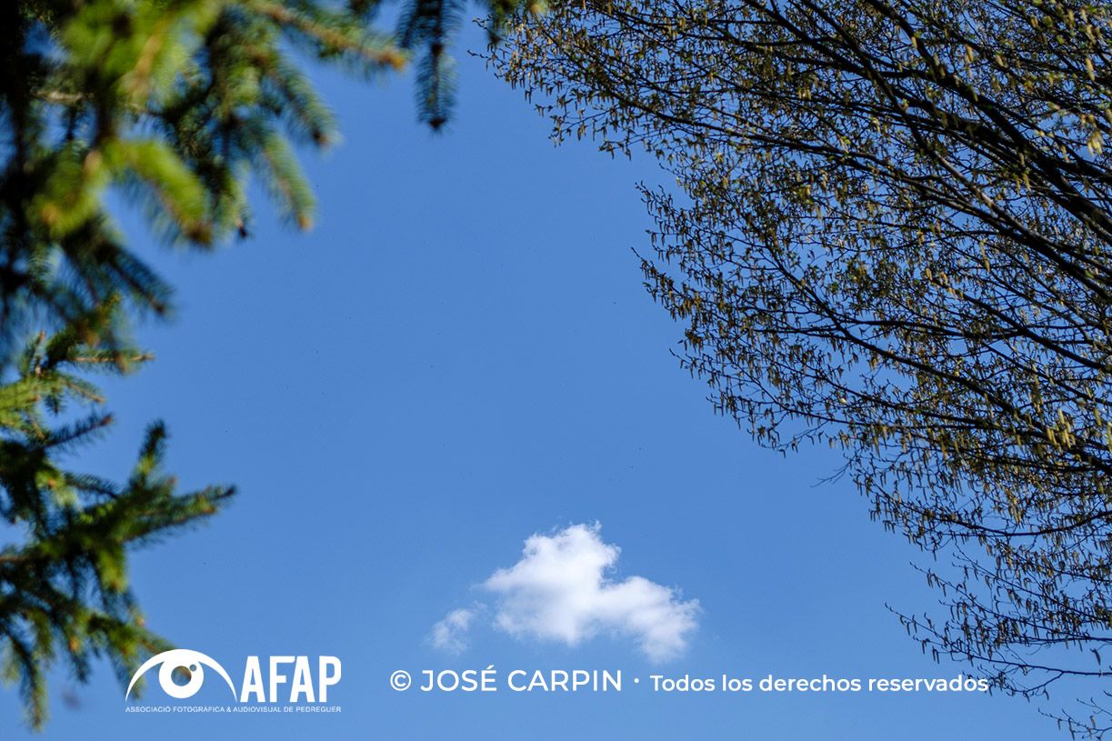 lo que las nubes no cuentan 02 Jose Carpin